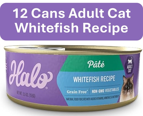 Halo Adult Cat Wet Food Pate Whitefish Recipe