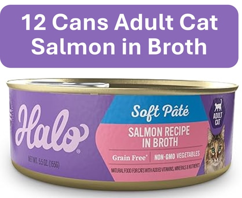 Halo Adult Cat Wet Food Soft Pate Grain-Free Salmon Stew