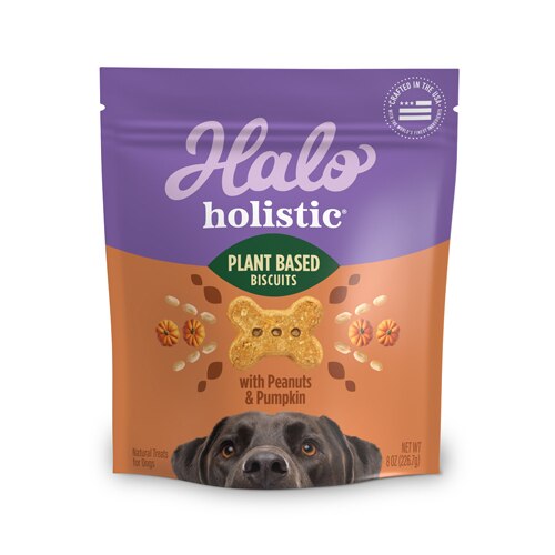 Halo Healthsome Vegan Grain-Free Biscuits with Peanut 'n Pumpkin Dog Treats -- 8 oz