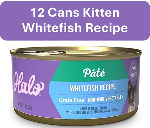 Halo Kitten Wet Food Pate Grain-Free Whitefish Recipe