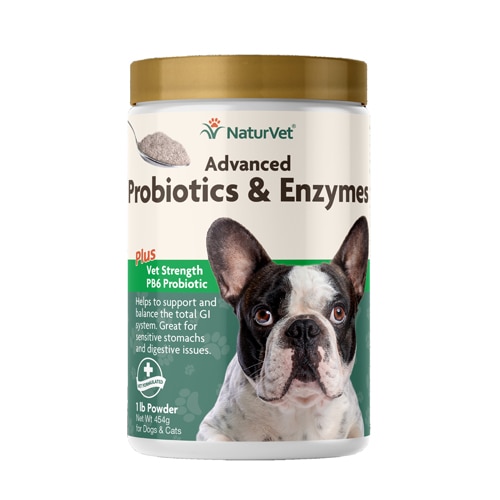 NaturVet Advanced Probiotics & Enzymes Powder Plus Vet Strength PB6 Probiotic for Dogs & Cats -- 1 lb