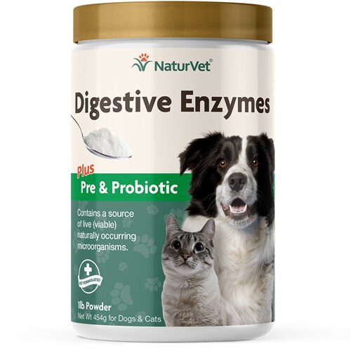 17 Top Photos Digestive Enzymes For Cats With Ibd / Naturvet Cat Digestive Enzymes + Pre & Probiotic Chew 60ct ...