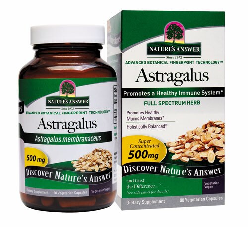 Nature's Answer Astragalus Root