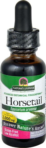 Nature's Answer Horsetail