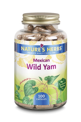 Nature's Herbs Mexican Wild Yam -- 100 Capsules