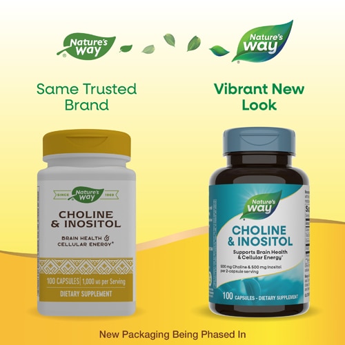 Nature's Way Choline & Inositol - Brain Health & Cellular Energy -- 100 Capsules