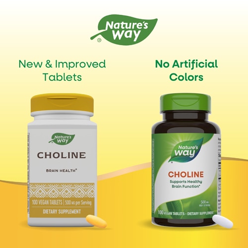 Nature's Way Choline - Brain Health Support -- 500 mg Per Serving - 100 Vegan Tablets