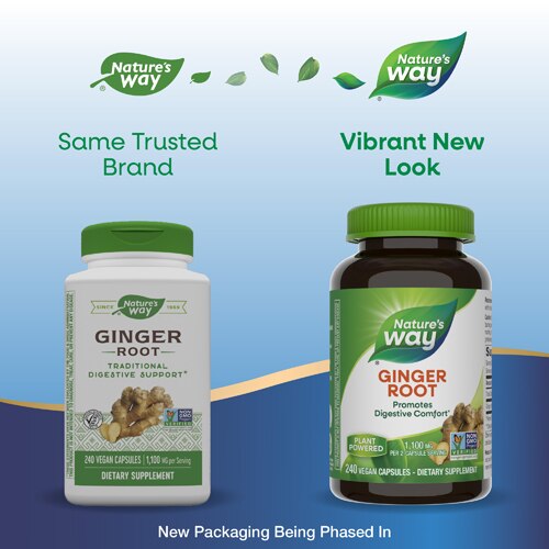 Nature's Way Ginger Root - 1100mg Per Serving - Traditional Digestive Support -- 240 Vegan Capsules