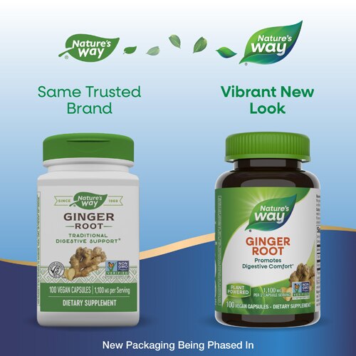 Nature's Way Ginger Root - 1100mg Per Serving - Traditional Digestive Support -- 100 Vegan Capsules