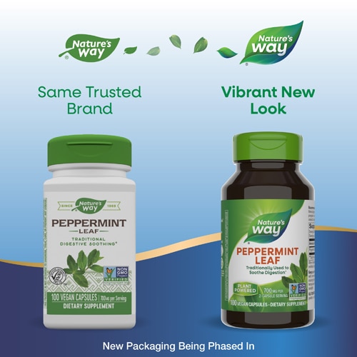Nature's Way Peppermint Leaf