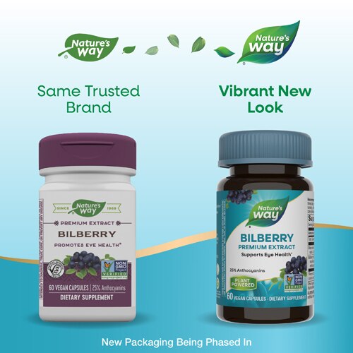 Nature's Way Premium Bilberry Extract - Promotes Eye Health -- 60 Vegan Capsules