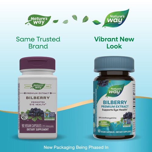 Nature's Way Premium Bilberry Extract - Promotes Eye Health -- 90 Vegan Capsules