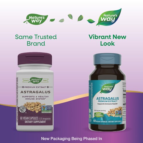 Nature's Way Premium Extract Astragalus - 0.5% Astragalosides -- 60 Vegan Capsules