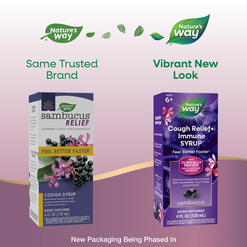 Nature's Way Sambucus Cough Relief + Immune Syrup - Elderberry Extract - Vitamin C & Zinc