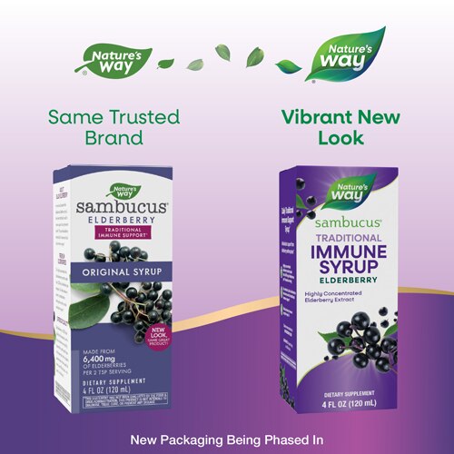 Nature's Way Sambucus Original Elderberry Syrup - Traditional Immune Support -- 4 fl oz