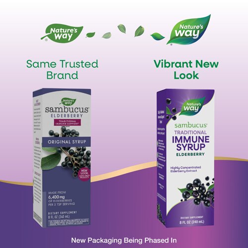 Nature's Way Sambucus Original Elderberry Syrup - Traditional Immune Support -- 8 fl oz