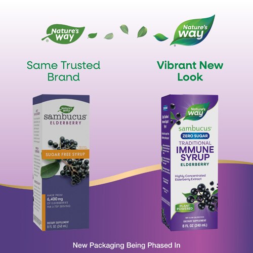 Nature's Way Sambucus Sugar-Free Elderberry Syrup -- 8 fl oz