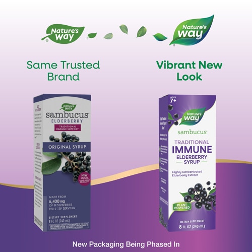 Nature's Way Sambucus Traditional Immune Elderberry Syrup - Traditional Immune Support