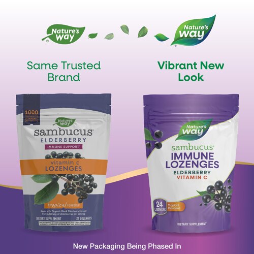 Nature's Way Sambucus Vitamin C Lozenges with Elderberry - Tropical Flavored -- 24 Lozenges