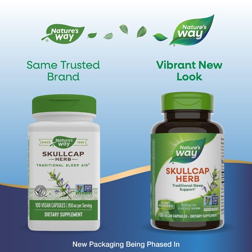 Nature's Way Scullcap Herb