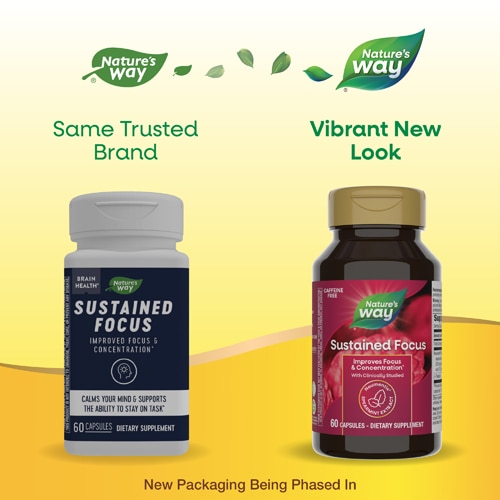 Nature's Way Sustained Focus - Nootropic Supplement - L-Theanine - Caffeine Free