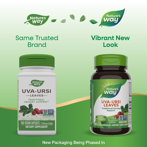 Nature's Way Uva Ursi - Traditional Urinary Support -- 1 440 mg Per Serving - 100 Vegan Capsules