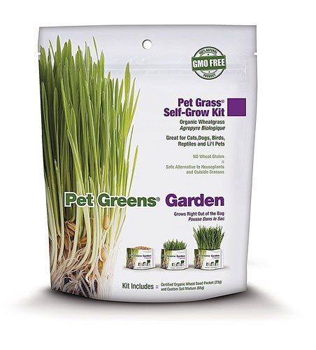 Pet Greens Garden Pet Grass® Self-Grow Kit -- 1 Kit