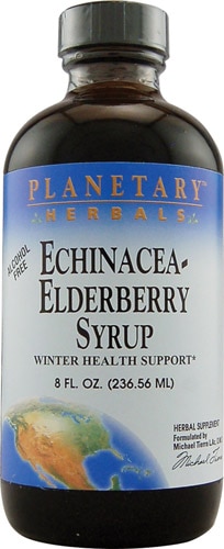 Planetary Herbals Echinacea Elderberry Syrup -- 8 fl oz