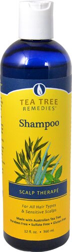 Tea Traveler Shampoo -- 12 fl oz