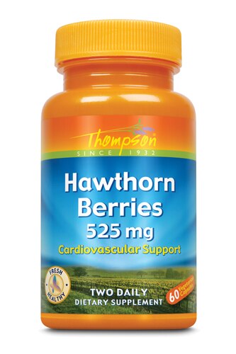 Thompson Hawthorne Berries