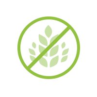 Gluten Free Icon