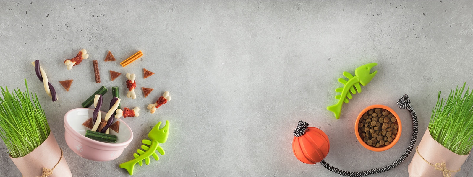 dog treats decorative background
