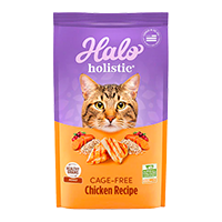 cat food