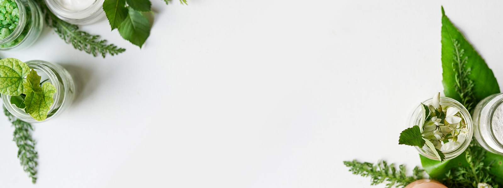 fresh inspired background