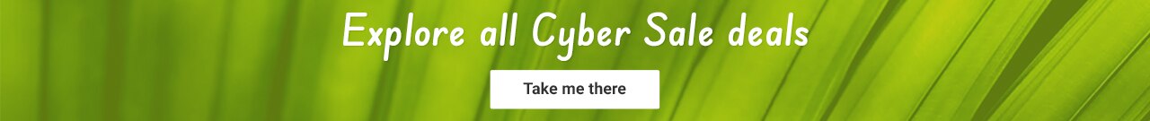 Cyber banner.