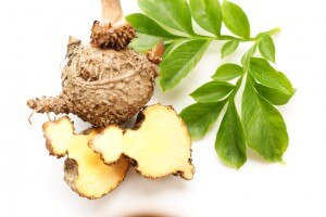glucomannan is from the Konjac plant