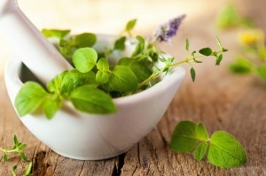 6 Herbs for Healthy Memory & Mood