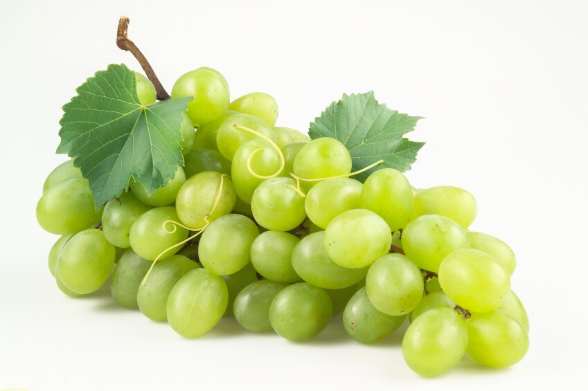 grape seeds have health benefits