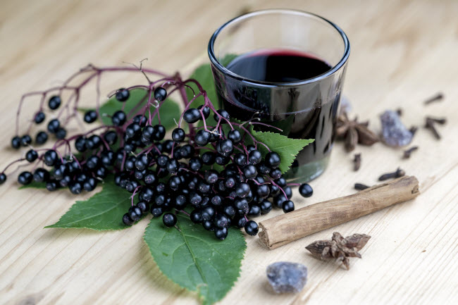 Why is Everyone Excited About Elderberries? Spring of Fresh Elderberries Beside Small Glass of Elderberry Tonic on Wooden Table | Vitacost.com/blog