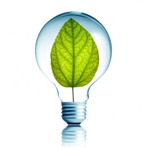 Eco-friendly lightbulb