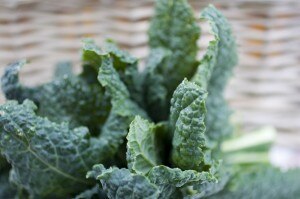 Healthy Benefits of Kale