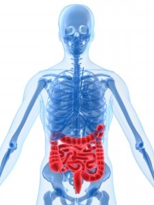 Healthy Digestion