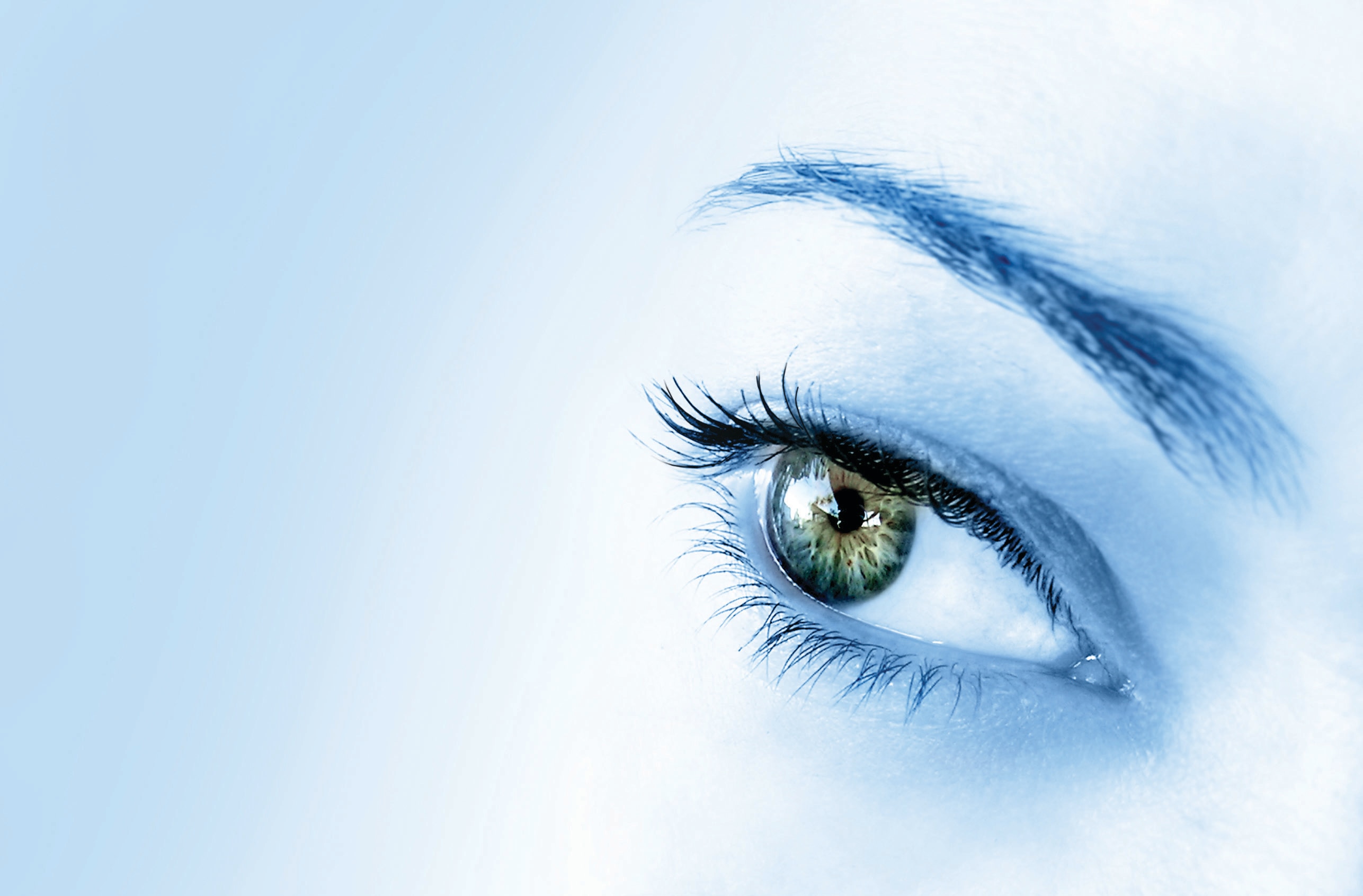 Five Foods for Your Eyes