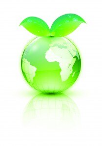 globe with leaves