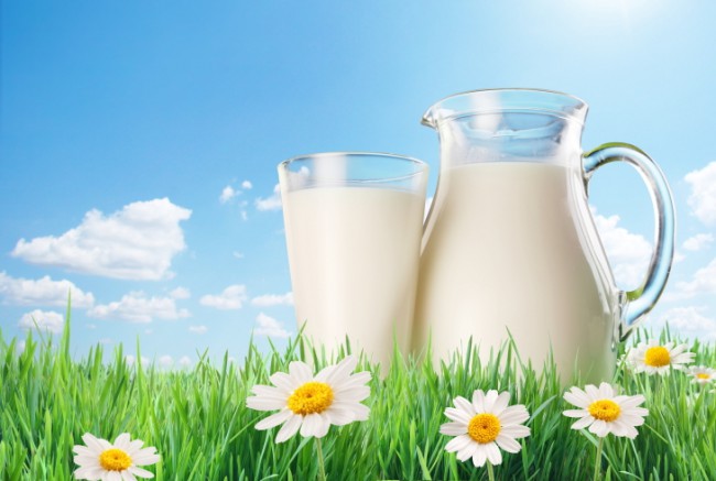 Spotlight on Vitamin D Nutrient Spotlight: Vitamin D