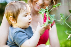 eco friendly mama