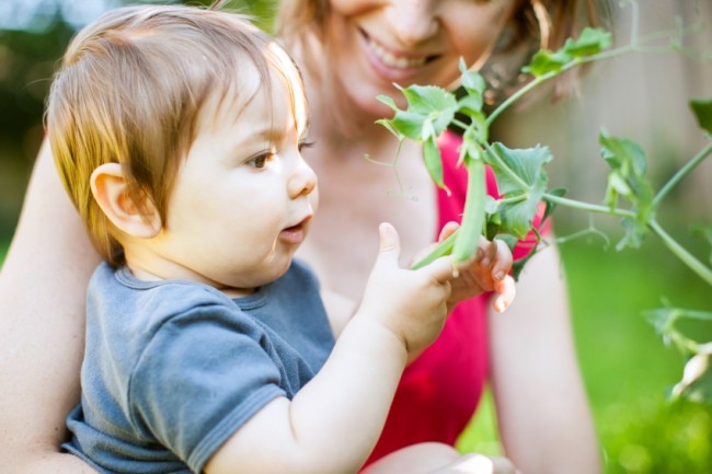 Eco-Conscious Parenting Tips How to Be an Eco-Conscious Mama