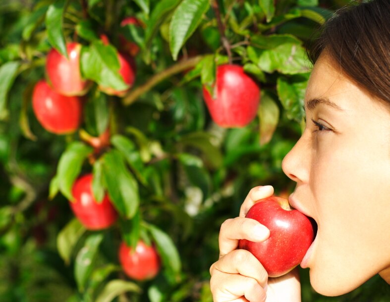 apples are healthy carbohydrates