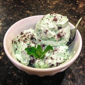 Mint chocolate protein frozen yogurt
