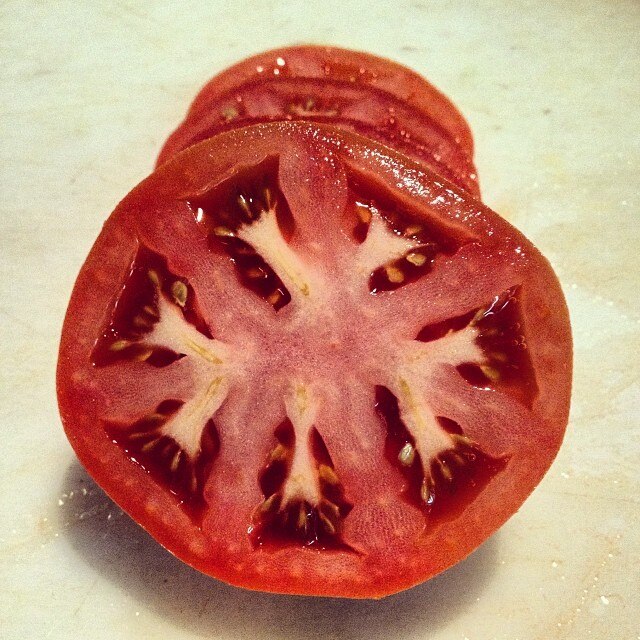 Tomato Slices Slices of Tomato